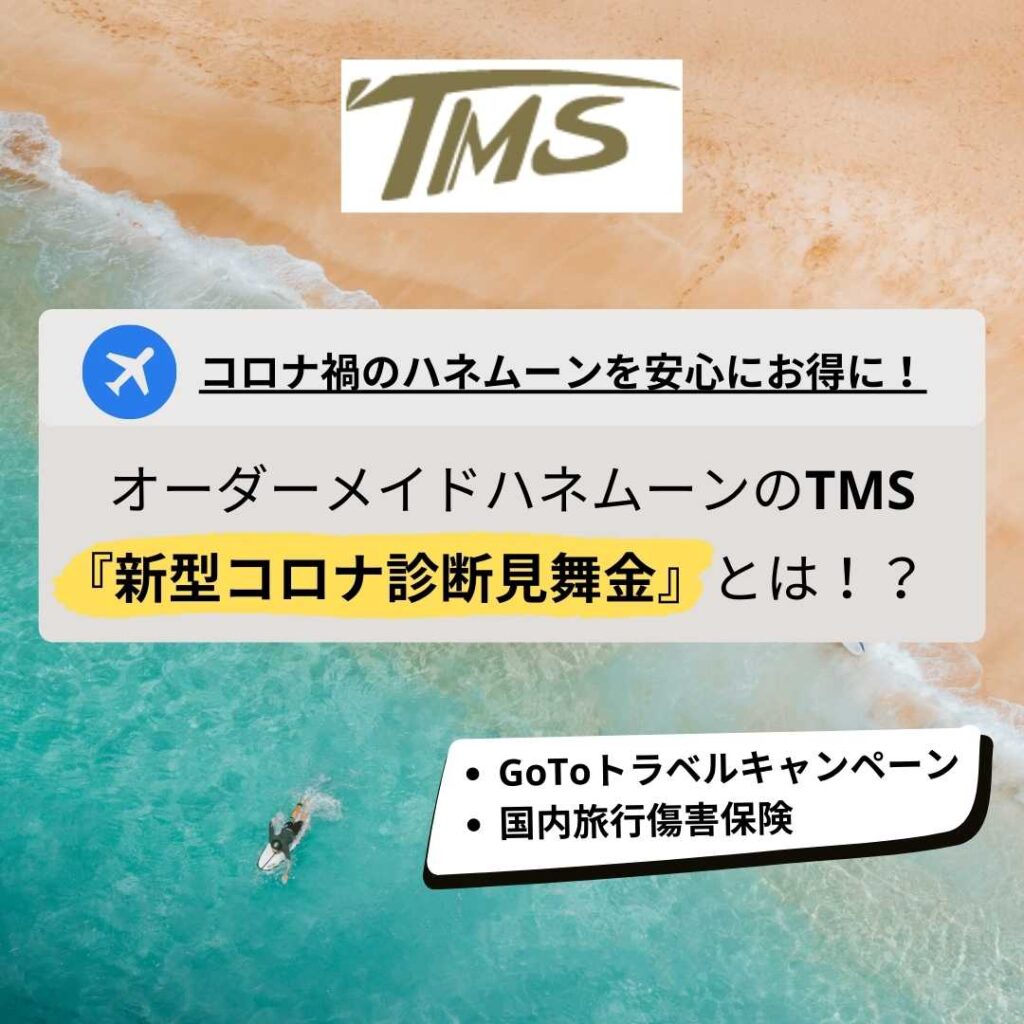 GoToトラベルキャンペーンを利用した国内ハネムーンはTMS